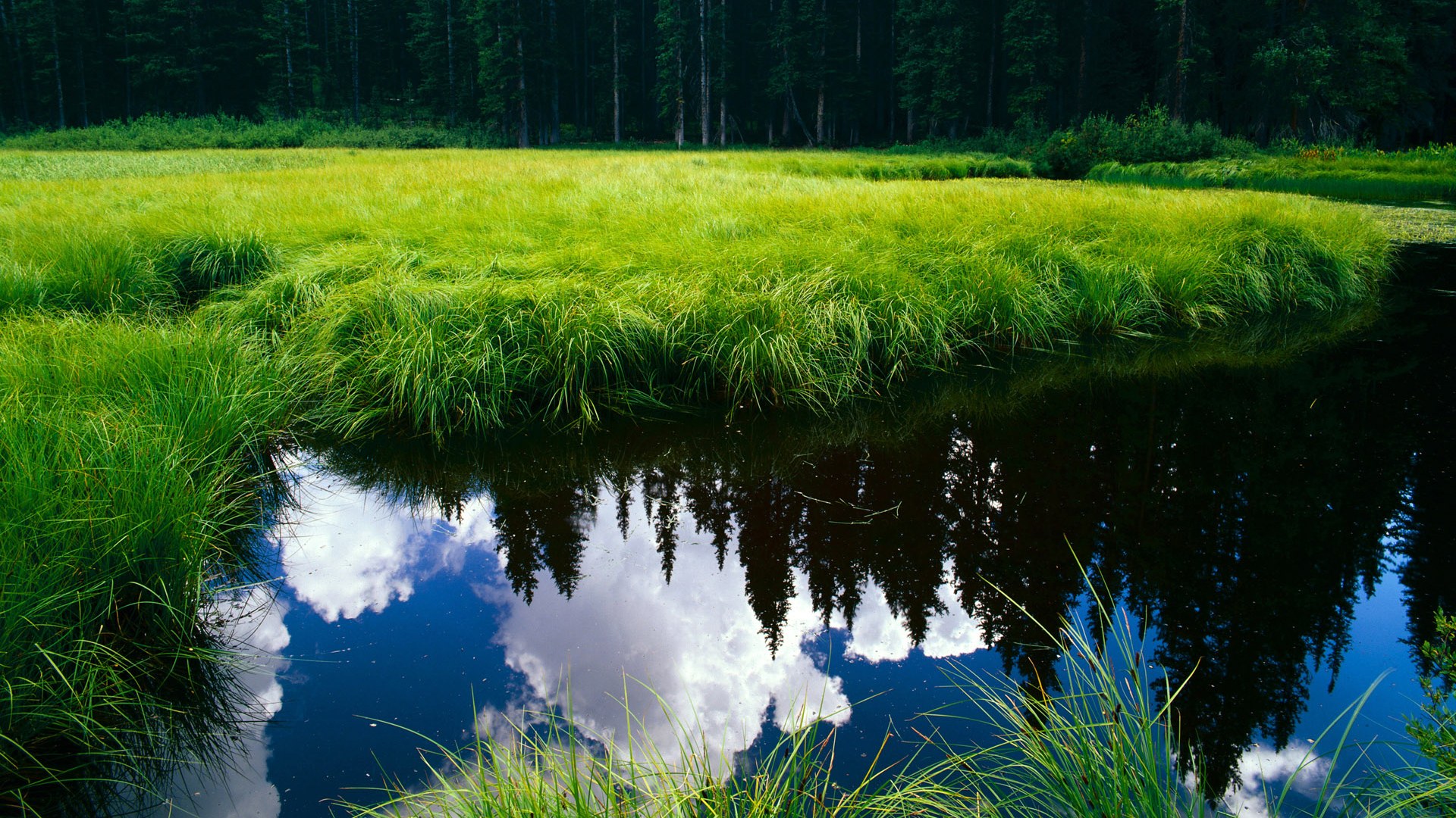 从安菲尔德到首尔,恩佐里程碑背后的利物浦韩国奇迹