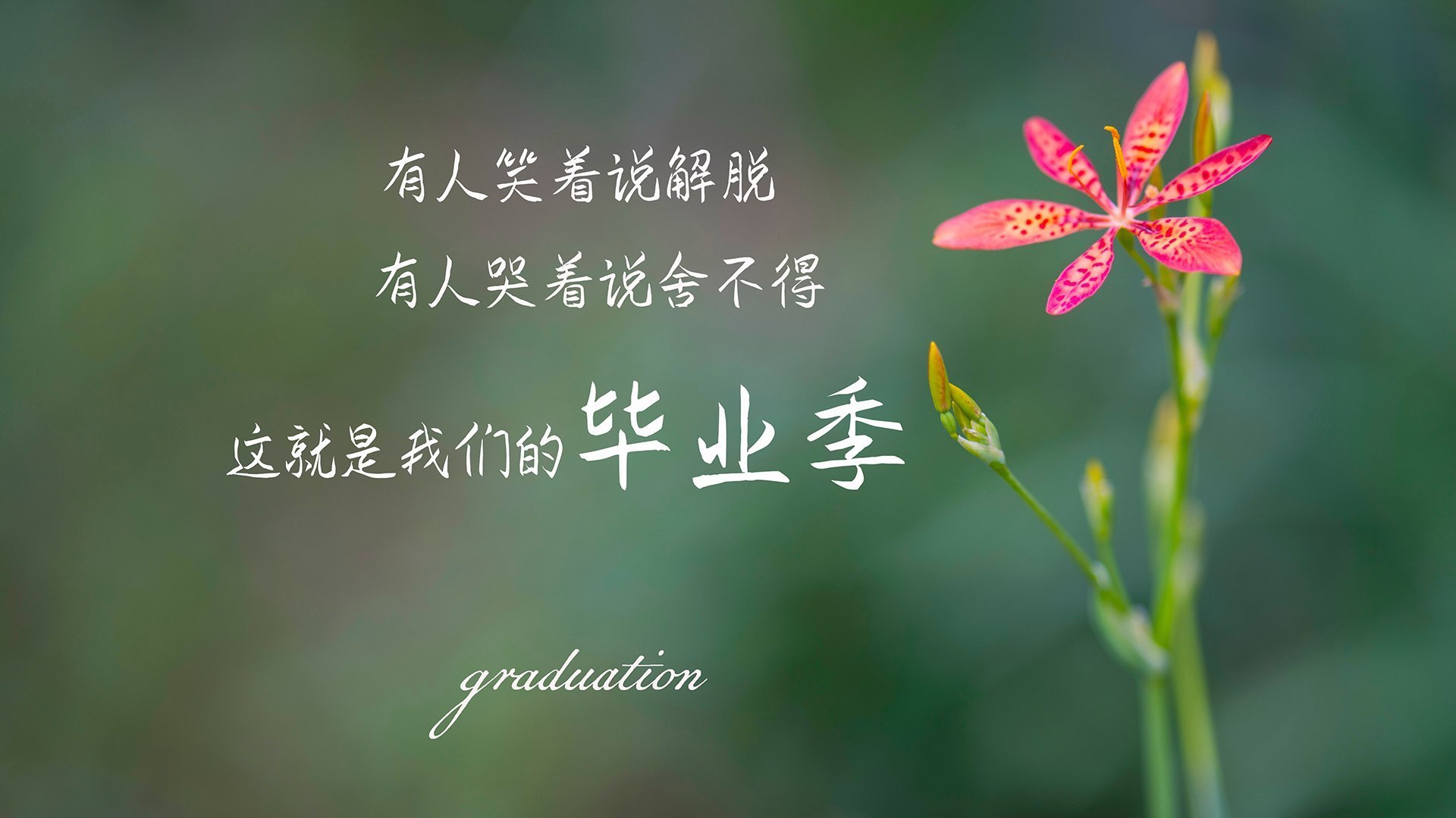 雷火电竞简介-铁血纽约攻克密尔沃基，欧文末节封神锁定胜局