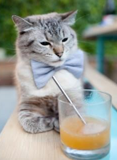 雷火电竞入驻-终极接管，从CBA德比胡金秋的封盖，到贝恩在伯纳乌的哨声