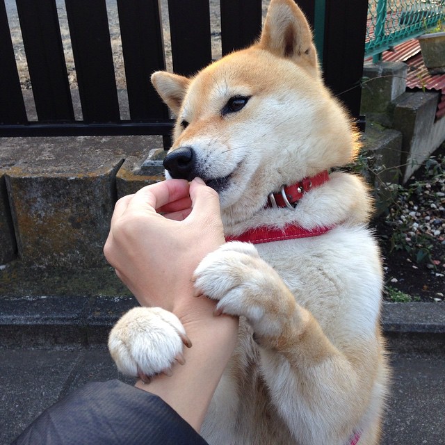 雷火电竞合作-当探戈遇上飓风，卡塞米罗的秩序美学