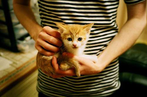 绿茵教科书,托尼一传一射导演逆转,玻利维亚击碎巴拉圭高原魔咒