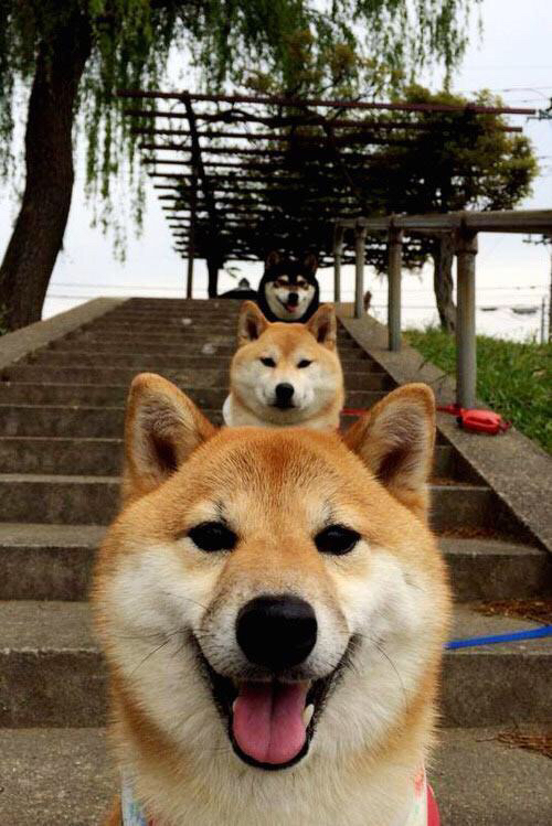 雷火电竞网址-冰火对决，平行时空中的爱德华兹47分撕裂巨网