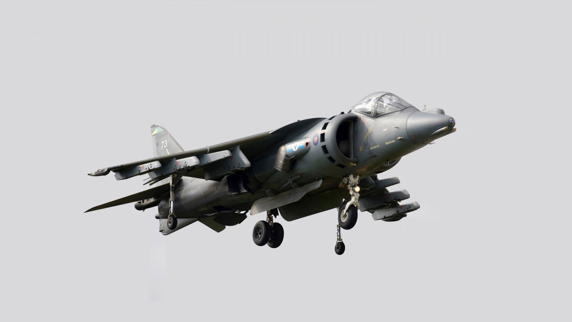 雷火电竞合作-青春风暴撕裂高原防线，鹈鹕强势晋级，掘金卫冕梦碎