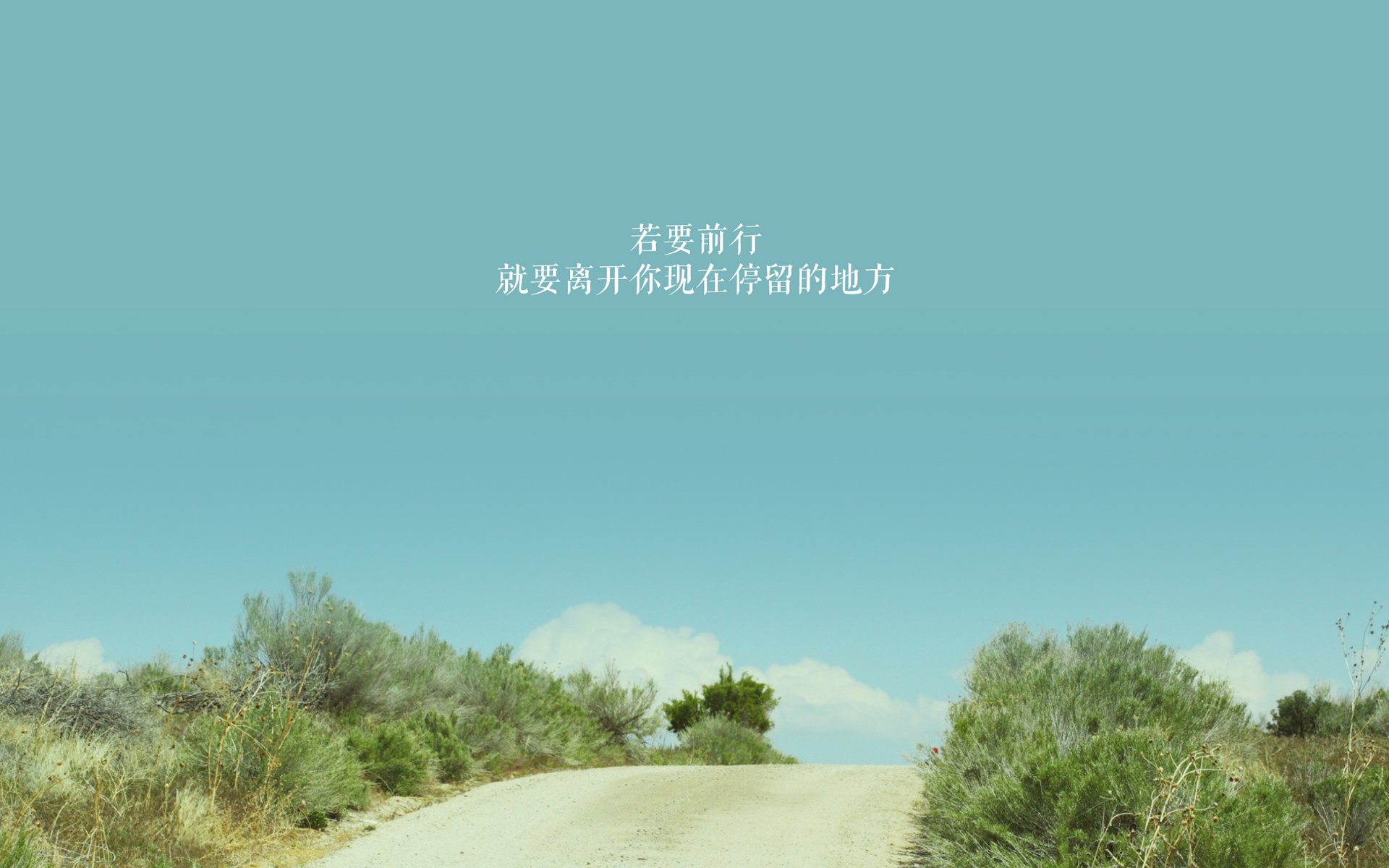 莱万的引擎，为何在曼城与勒沃库森的鏖战中全程轰鸣？