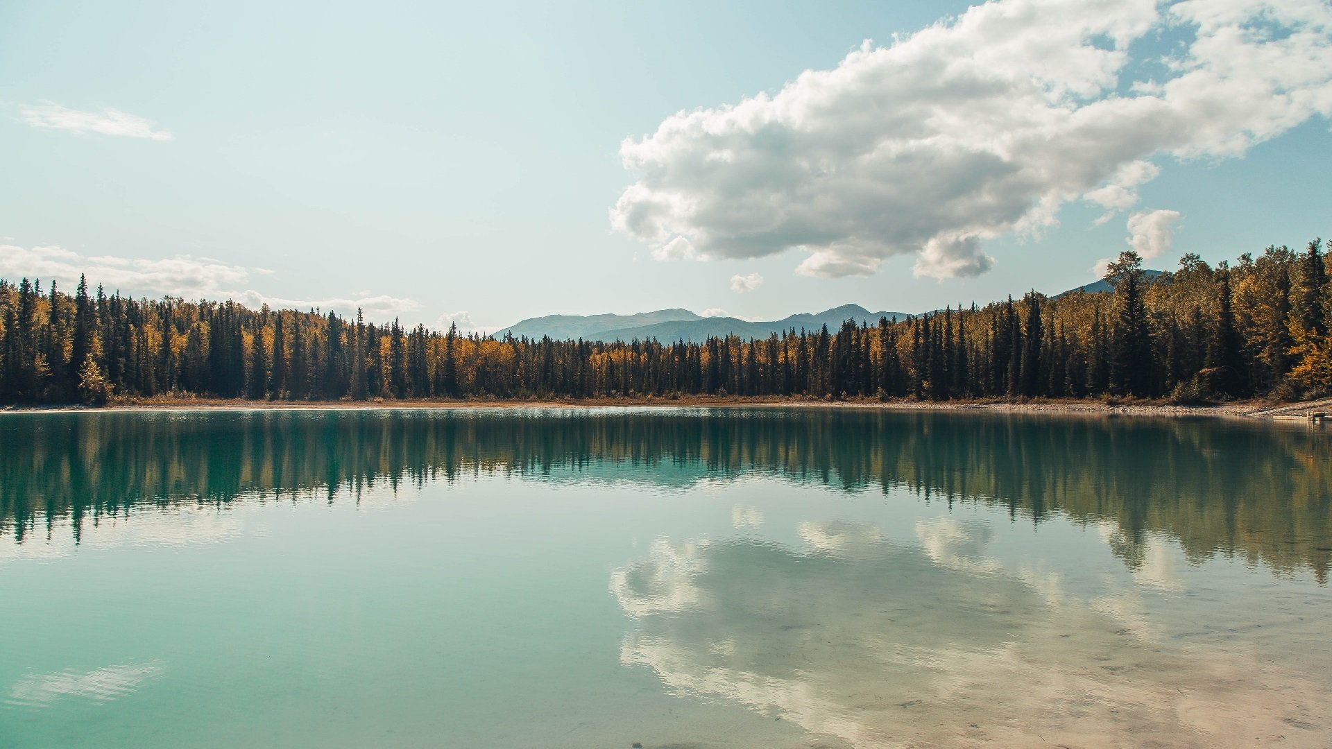 格纳布里全程高能，一己之力撕裂日本防线，加拿大赢得史诗级对决